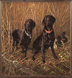 Sharing The Tradition Black Labs By Terry Doughty